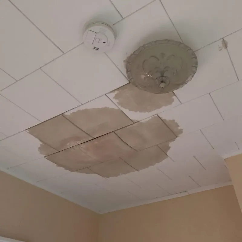 Ceiling Water Damage Repair in Milton, LA