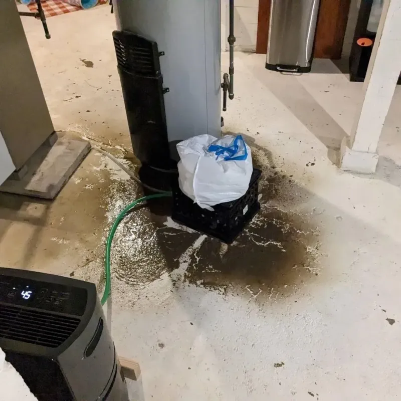 Sewage Backup Cleanup Service in Milton, LA
